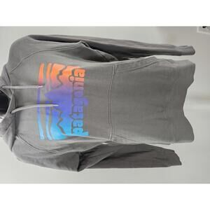 Patagonia Hoodie with Colorful Gradient Logo